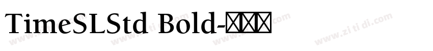 TimeSLStd Bold字体转换